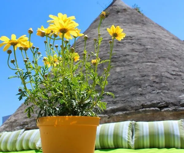 Don Ciccio Capashome *