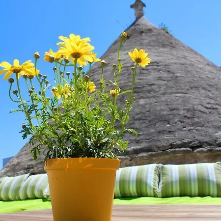 Don Ciccio Capashome *