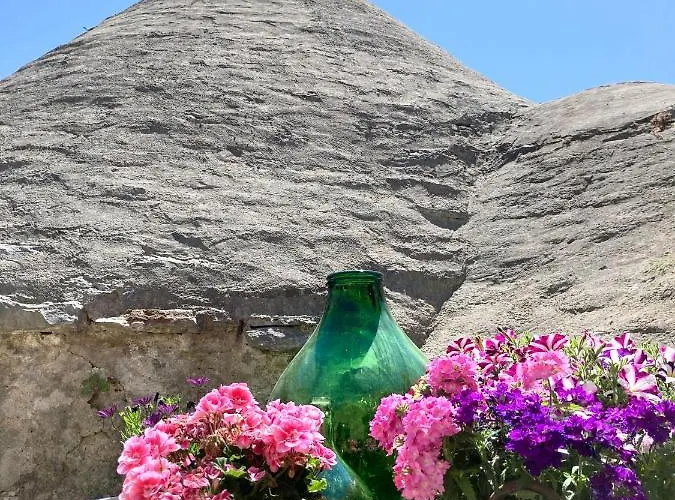 Don Ciccio Capashome Daire